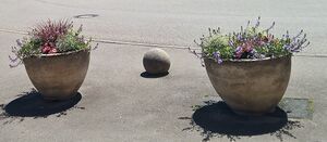 IMG 20220702 133923 3.jpg