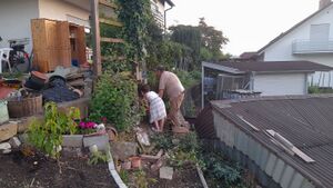 IMG 20250618 213125.jpg