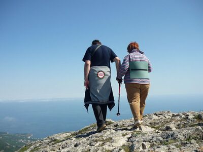 Сходження на гору св. Іллі (розділ).jpg