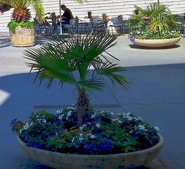 IMG 20220716 164356 1.jpg