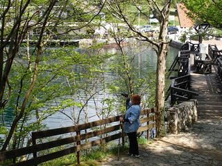 Хріб (Преддвор)