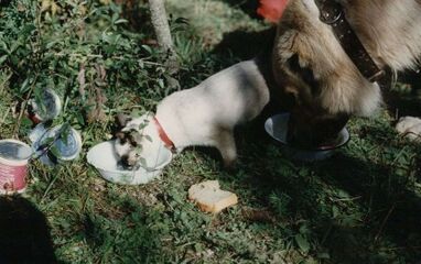 Тедді та Яша.jpg