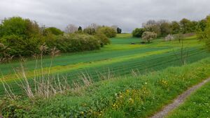 IMG 20250418 141933.jpg