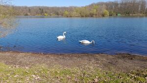 IMG 20250328 102358.jpg