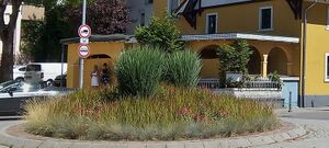 IMG 20220716 152451 3.jpg