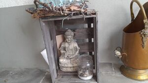 IMG 20250205 093720.jpg