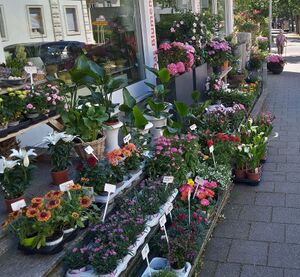 IMG 20220716 152252 3.jpg