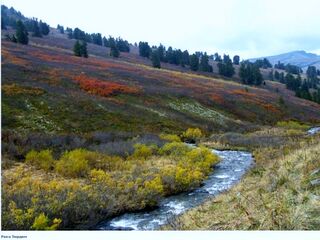 Ходирєви - Алтай 2.jpg