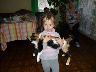 - Она меня совсем не боится...