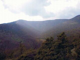 Кадр № 2. Зроблений за кілька секунд. За цей час туман згустів і змінив колір у бік фіолетового.