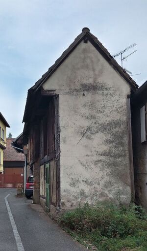 IMG 20220827 160202 3.jpg