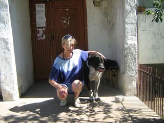 Володя (пес) 2.jpg