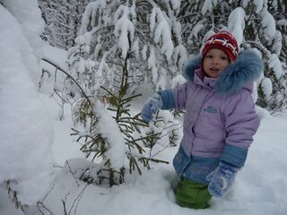 - Елочки должны быть очищены от снега, а то им под снегом холодно.