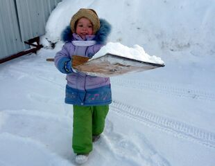 Труд облагораживает Лизу.