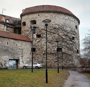 Толстая Мэри.jpg