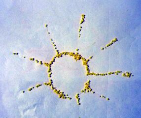 Шуліпа Климент Сергійович — Творчість 1.jpg