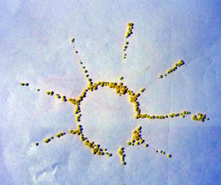 Файл:Шуліпа Климент Сергійович — Творчість 1.jpg