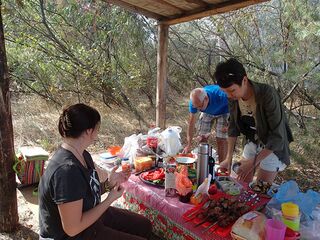 у Албантова