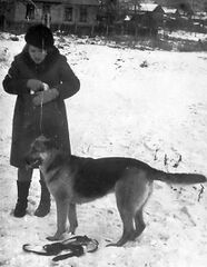 Іра та Санта