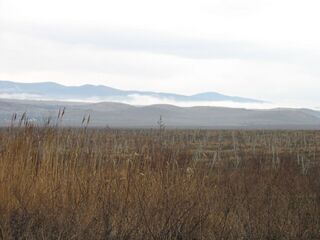 Ділянка туману від Ізюмівки до села Відважне.