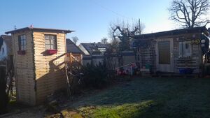 IMG 20250201 105454.jpg